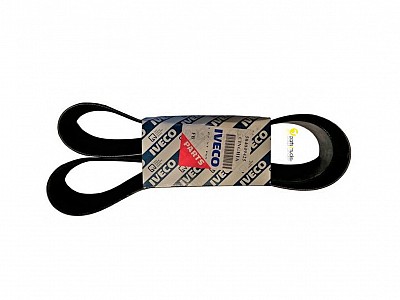 Ribbed Belt